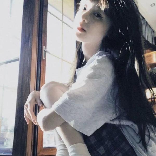 企鹅之岛:福克兰